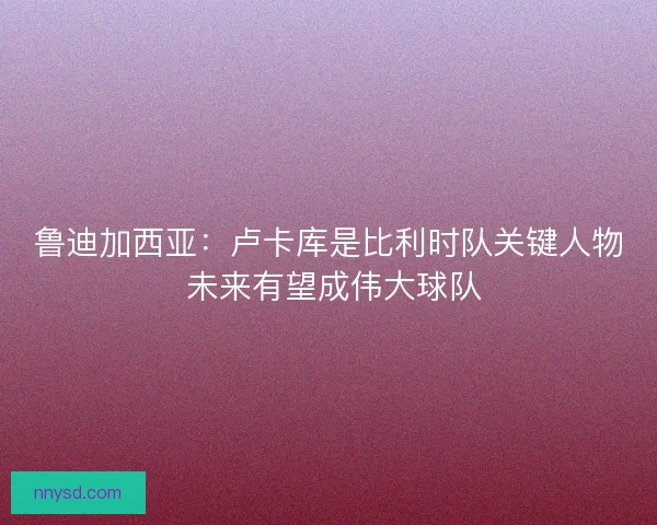 鲁迪加西亚：卢卡库是比利时队关键人物 未来有望成伟大球队