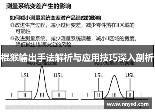 棍猴输出手法解析与应用技巧深入剖析
