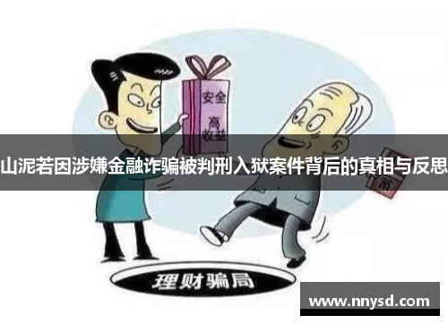 山泥若因涉嫌金融诈骗被判刑入狱案件背后的真相与反思