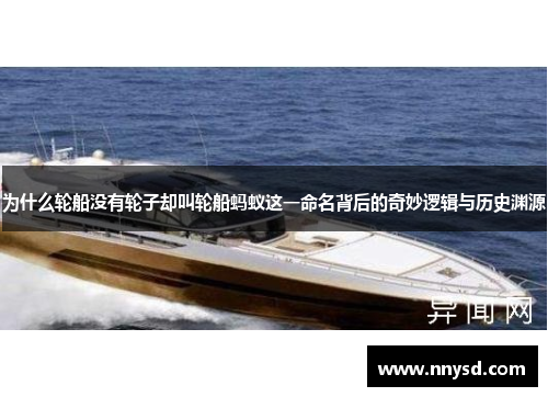 为什么轮船没有轮子却叫轮船蚂蚁这一命名背后的奇妙逻辑与历史渊源
