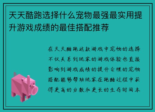 天天酷跑选择什么宠物最强最实用提升游戏成绩的最佳搭配推荐